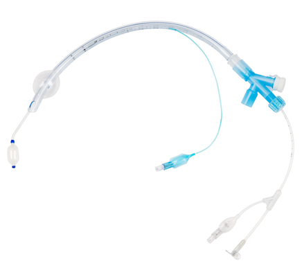 ราคาดี กล่อง Endobronchial Tube Double Lumen ท่อปิด Endobronchial ท่อปิด Endobronchial ท่อปิด Endobronchial ท่อปิด Endobronchial ท่อปิด Endobronchial ออนไลน์
